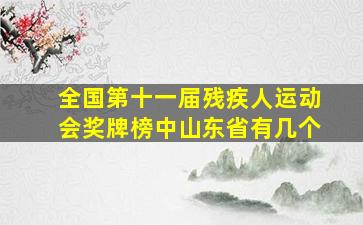 全国第十一届残疾人运动会奖牌榜中山东省有几个