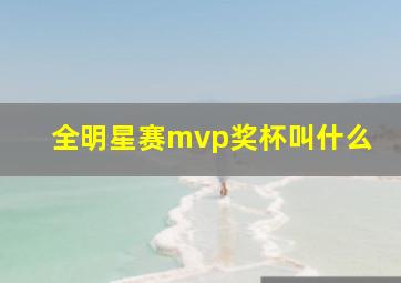 全明星赛mvp奖杯叫什么