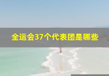 全运会37个代表团是哪些