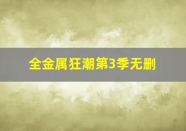 全金属狂潮第3季无删