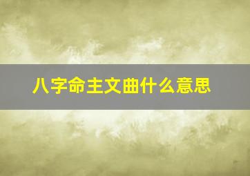 八字命主文曲什么意思