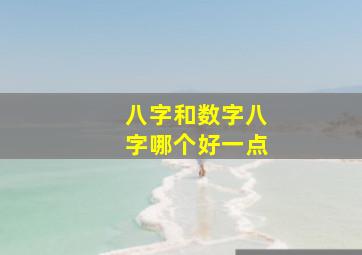 八字和数字八字哪个好一点