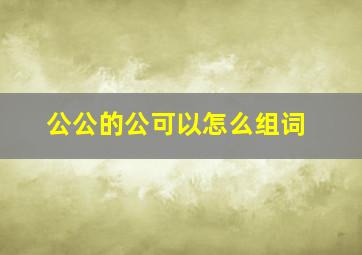 公公的公可以怎么组词