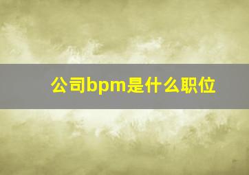 公司bpm是什么职位