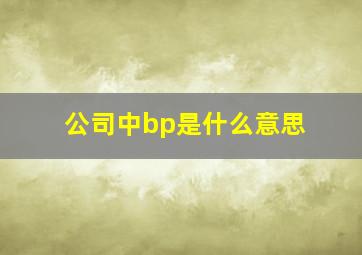 公司中bp是什么意思