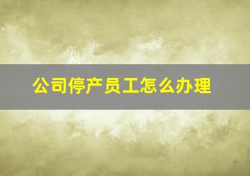 公司停产员工怎么办理