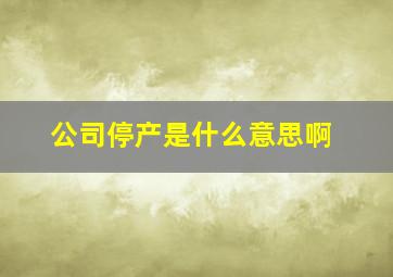 公司停产是什么意思啊