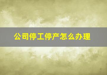 公司停工停产怎么办理