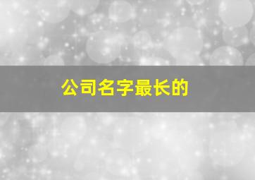 公司名字最长的