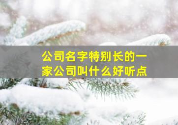 公司名字特别长的一家公司叫什么好听点