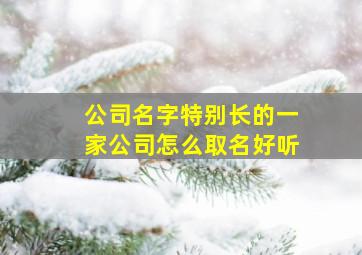 公司名字特别长的一家公司怎么取名好听