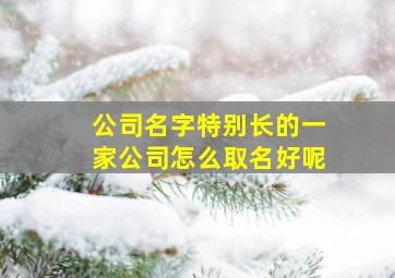 公司名字特别长的一家公司怎么取名好呢