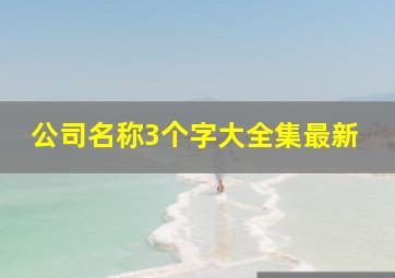 公司名称3个字大全集最新