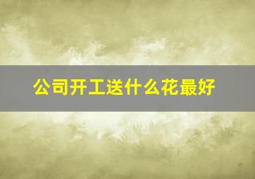 公司开工送什么花最好