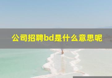 公司招聘bd是什么意思呢