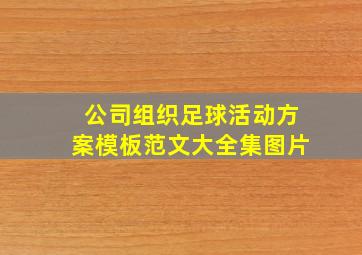 公司组织足球活动方案模板范文大全集图片