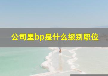 公司里bp是什么级别职位