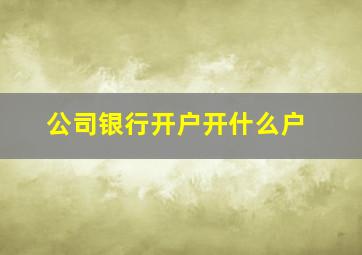 公司银行开户开什么户