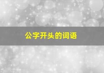 公字开头的词语