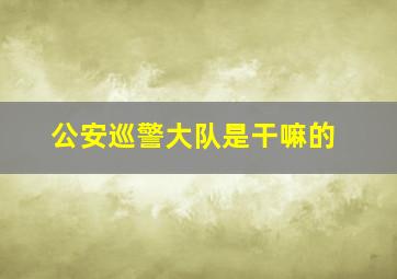 公安巡警大队是干嘛的