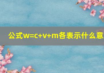 公式w=c+v+m各表示什么意思