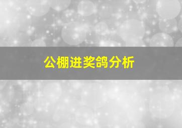 公棚进奖鸽分析