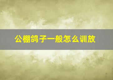 公棚鸽子一般怎么训放