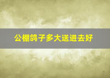 公棚鸽子多大送进去好