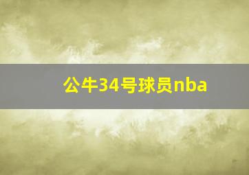 公牛34号球员nba