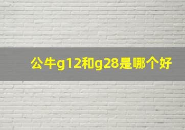 公牛g12和g28是哪个好