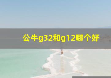 公牛g32和g12哪个好