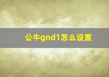 公牛gnd1怎么设置