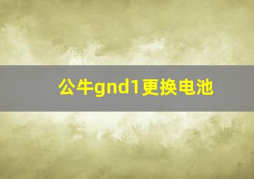 公牛gnd1更换电池