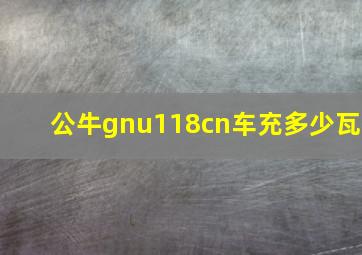 公牛gnu118cn车充多少瓦