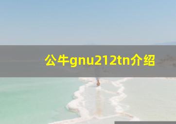 公牛gnu212tn介绍