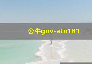 公牛gnv-atn181