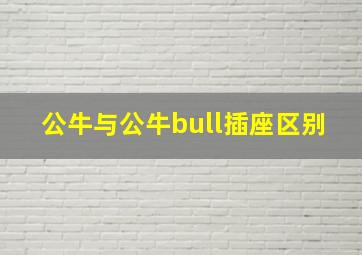 公牛与公牛bull插座区别