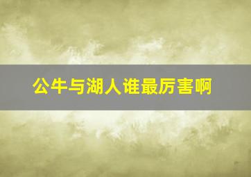 公牛与湖人谁最厉害啊