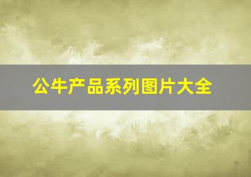 公牛产品系列图片大全