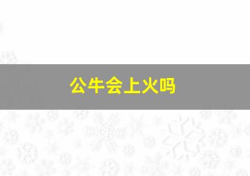 公牛会上火吗