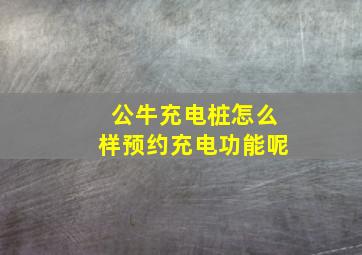 公牛充电桩怎么样预约充电功能呢