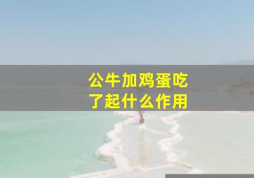 公牛加鸡蛋吃了起什么作用