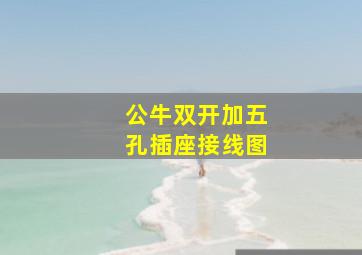 公牛双开加五孔插座接线图