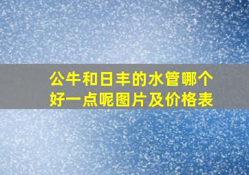 公牛和日丰的水管哪个好一点呢图片及价格表