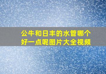 公牛和日丰的水管哪个好一点呢图片大全视频