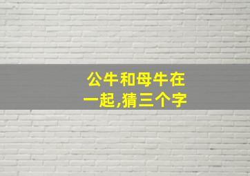 公牛和母牛在一起,猜三个字