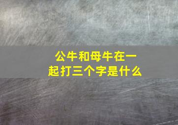 公牛和母牛在一起打三个字是什么