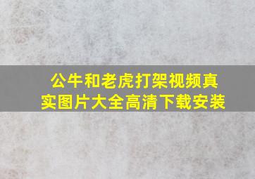 公牛和老虎打架视频真实图片大全高清下载安装