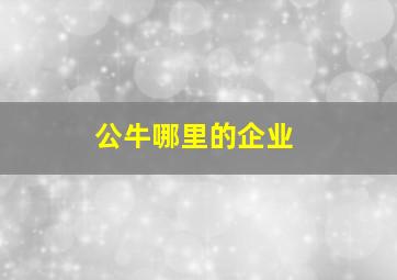 公牛哪里的企业