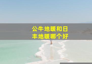 公牛地暖和日丰地暖哪个好